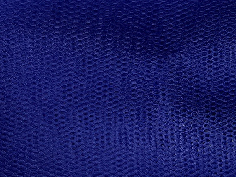 Cobalt Blue Plain Net Fabric Luxury unclassified dresses