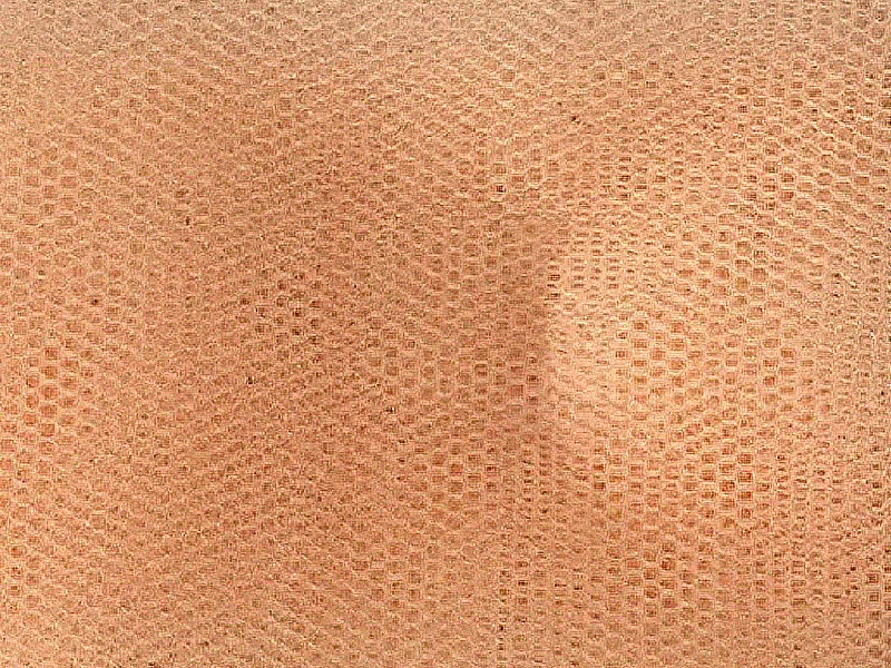 Dark Peach Plain Net Fabric Metallic unclassified dresses